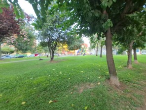 Vistas